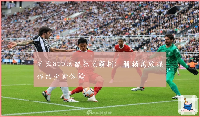 开云app功能亮点解析：解锁高效操作的全新体验