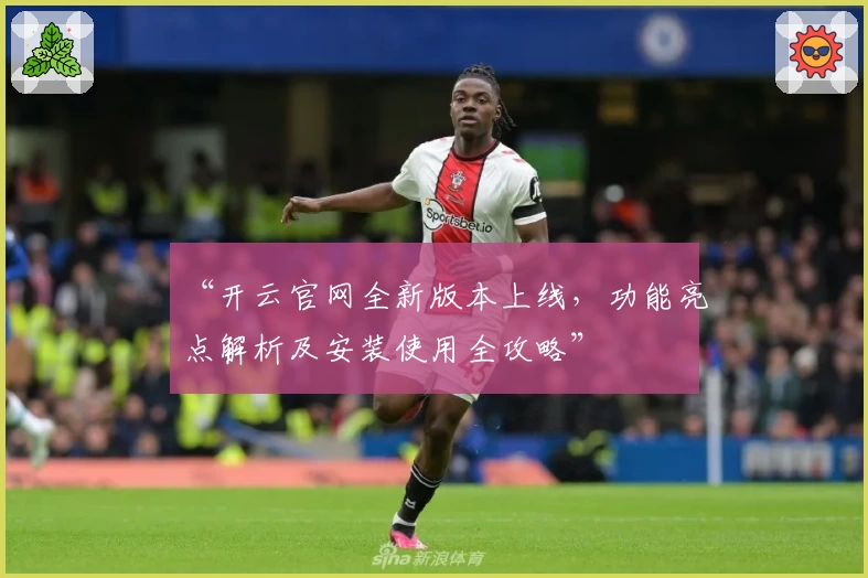 “开云官网全新版本上线,功能亮点解析及安装使用全攻略”